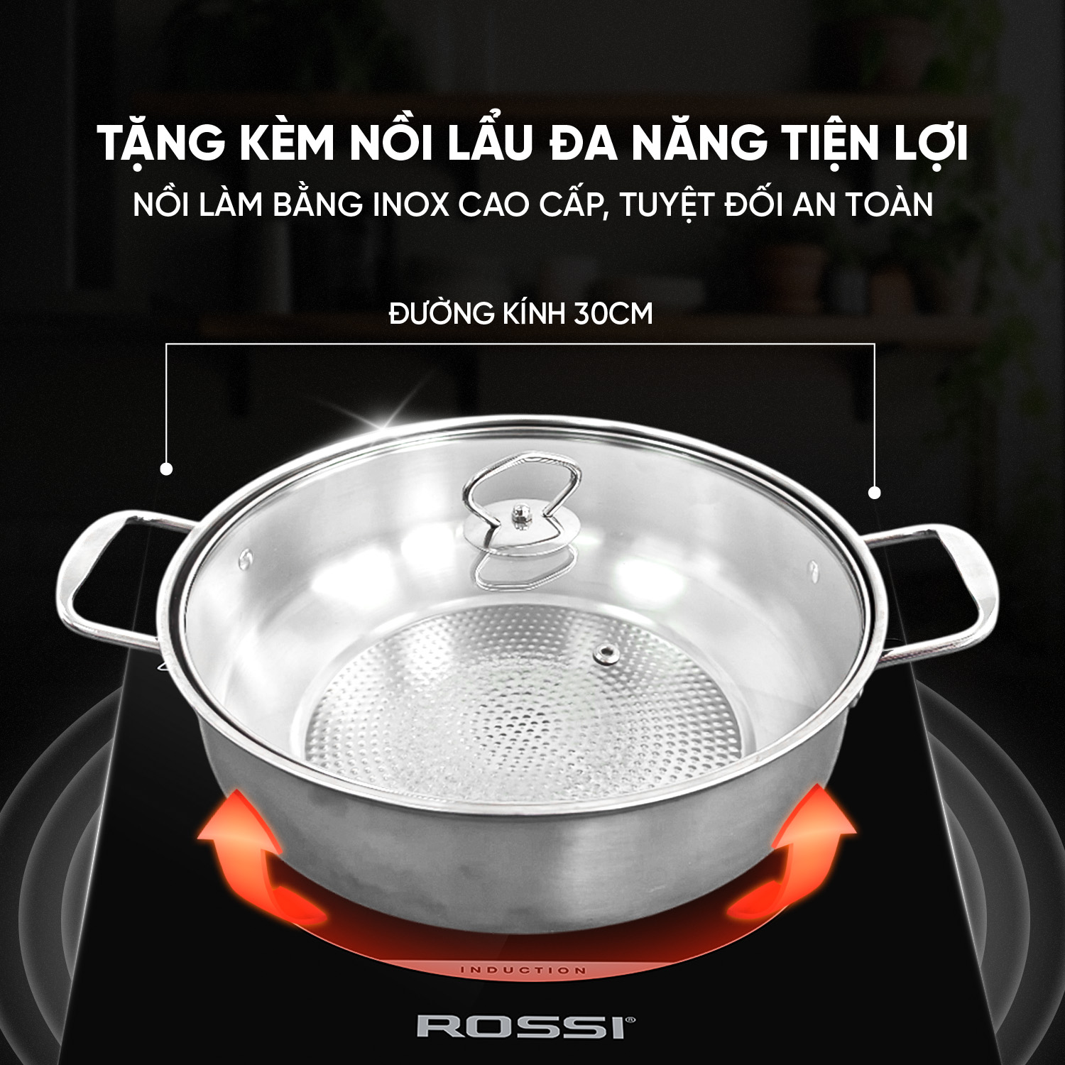 Bếp từ đơn Rossi RS-1020CC01